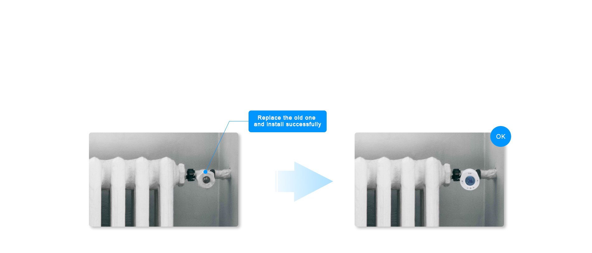 Responsive Image